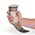 Viking Drinking Horn with Horn Stand